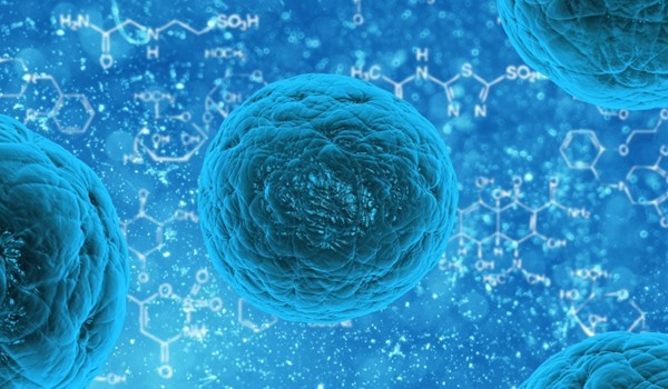 Stem Cells & Multiple Sclerosis