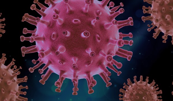 The Flu Vaccine