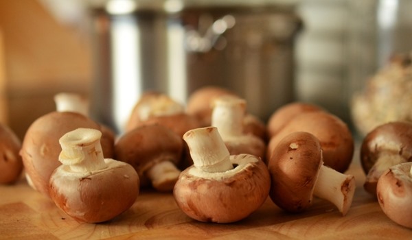 Mushrooms Help In The Fight Against Brain Decline