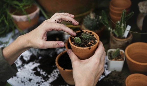 Luxury Cottages In Chelmsford