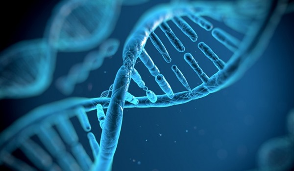 Luxury Cottages In Chelmsford