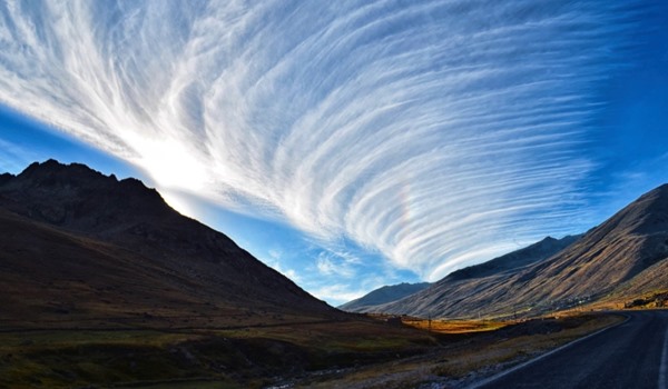 A Guide To The Rugby World Cup