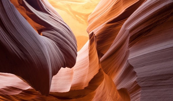 A Guide To The Rugby World Cup