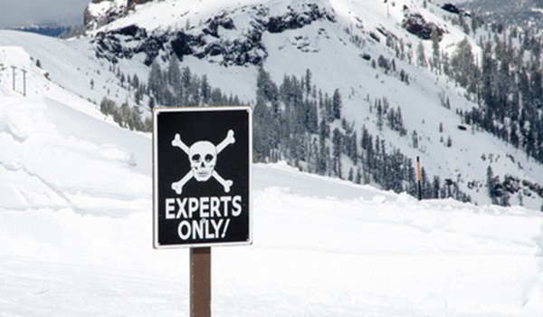 A Guide To The Rugby World Cup