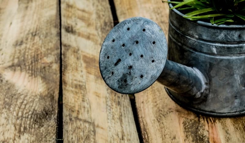 garden watering can