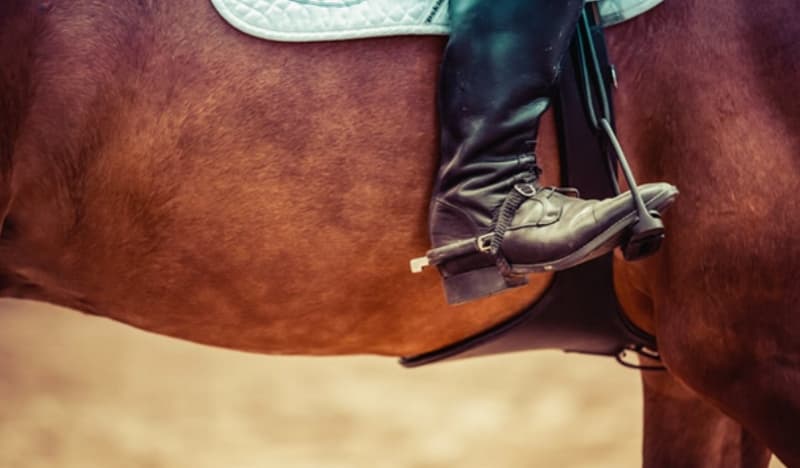 racehorse saddle